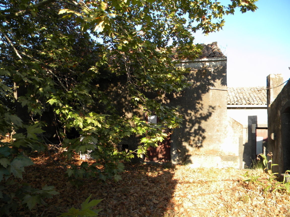 DSCN8018 .JPG